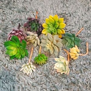 SOLD : Faux Succulent Stems